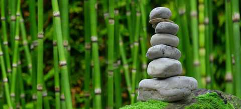 Gesundheits- & Wellnessprogramme Gesundheits- & Wellnessprogramme